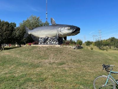 World's Largest Catfish, Wahpeton,North Dakota